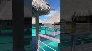Bora Bora VS. Maldives #shorts #travel #borabora #maldives