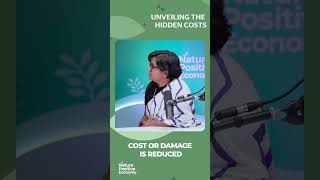 Unveiling the hidden costs