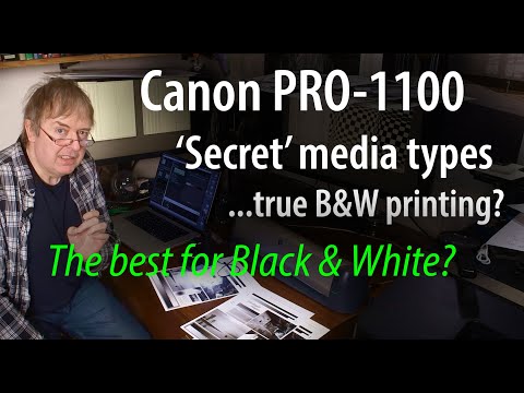 Hidden media types let you print true greyscale on the Canon PRO-1100 printer. No colour inks used