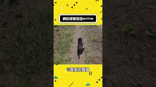 不会真是地球online吧！#地球游戏online #p图 #万万想不到 #娱乐评论大赏#娛樂#搞笑#shorts