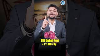 How much profit is there in onion export? 🧅💰 Onion Export: From Procurement to Profit! Understand...