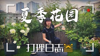 VLOG008夏季花園打理日誌叁｜拔草~ 拔草~ 也可以舒壓啊！｜修剪｜灌木球｜種花｜大麗花｜園藝設計｜陽臺菜園｜花園｜日常Vlog
