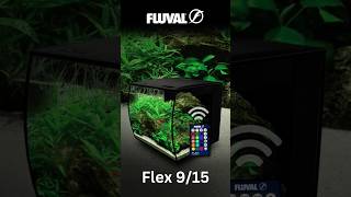 🌟 Exciting news! The Fluval Flex has made its grand entrance in India. #maplepets