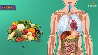 Glycolysis steps in detail  (Animation) -  Medical Biochemistry