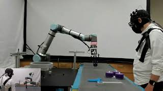 Trust in Human-Robot Collaboration