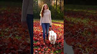 #遍地紅葉 #redleaves