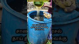 🍌banana will natural poctas🍌9787155461🍌🍌🍌🍌🍌🍌🍌🍌