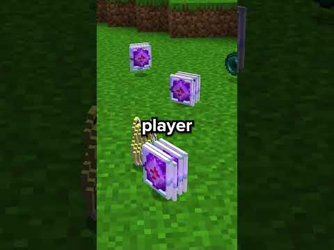 I made the MOST COMPETITIVE Lifesteal SMP!