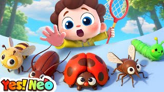 Baby Catches Bugs | Learn About Bugs | Educational | Nursery Rhymes & Kids Songs | Yes! Neo