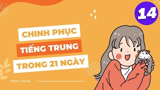 21 NGÀY CHINH PHỤC TIẾNG TRUNG - BÀI 14: 图书馆在哪儿 (Thư viện ở đâu?)