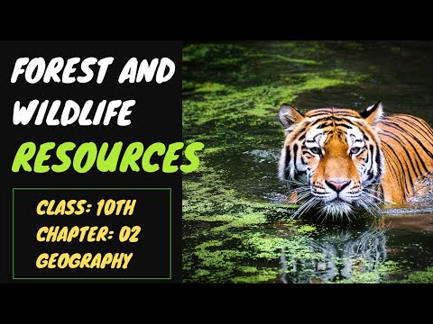 Forest and Wildlife Resources Class 10 CBSE full chapter Explained| Class 10 Geography Chapter 2