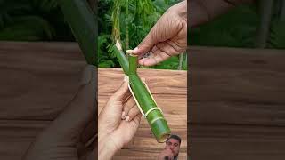 simple Green diy bomboo creation tools.