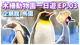 【台北景點】木柵動物園 EP.03 「企鵝館」、「生態鳥園」（完整記錄）Taipei Zoo