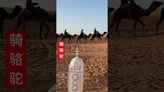 在沙漠里体验骑骆驼 #摩洛哥 #撒哈拉沙漠 #morocco
