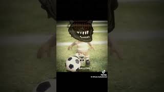 #trolface #cocomelon #football #viral #song #phonk #funk #viral #video #music #cool #memes