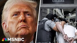 'Complete roughshod of due process': Lawyer on Trump using Alien Enemies Act