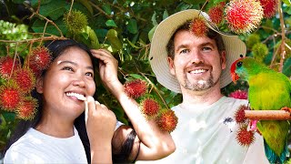 BIG RAMBUTAN HARVEST IN THE PHILIPPINES | PARASITES EAT OUR PLANTS! | ISLAND LIFE