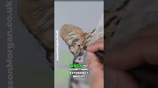Pastel Art: Mastering Light Over Dark Colors