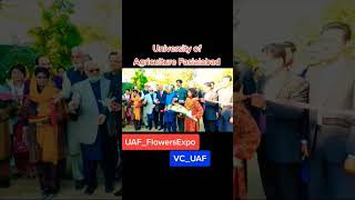 VC of UAF Faisalabad ❤️ #shorts #viral #university #punjabuniversity #uaf