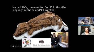 Animal Matters: “Zhùr” and Other Frozen Fossils from Canada’s Yukon