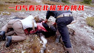 超长一个小时，看完丹麦荒野独居第八季#4K高清 #野外生存 #荒野求生 #荒野美食 #荒野狩獵 #紀錄片