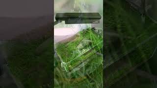The Ultimate Nano CO2 Kit for Your Aquarium – FZONE Compact CO2 System#aquarium