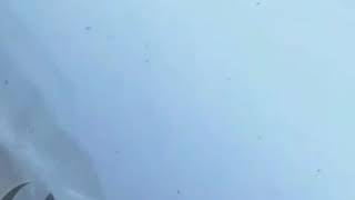 J7W Shinden dogfight gun camera