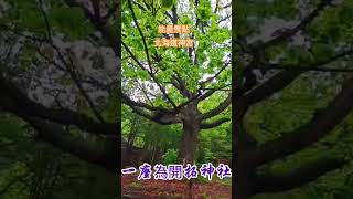 能量景點北海道神宮#打卡#旅行#景點#札幌#市集#japan#吃吃喝喝#親子遊#銀髮族#遊客#去哪玩#花#生活#觀光#活動#美食#自由行#熱門#travel#北海道#cafe#japanesefood