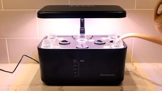 Ahopegarden Indoor Smart Planter Semi-automatic Countertop Mini Hydroponic System Setup and Review