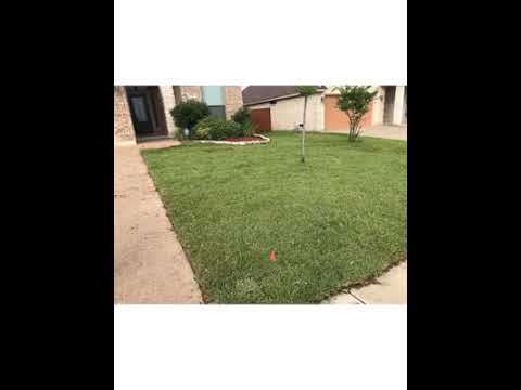 Landscaping Ninjas Sod Replacement