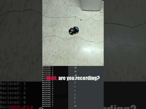 Estonian Man RUNS Joshnaks Over?????