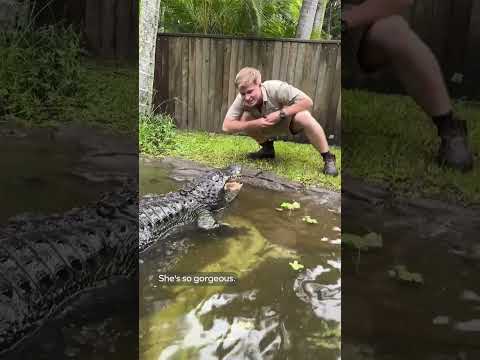 Robert showing us our amazing alligators... Part One!