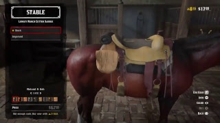 Red Dead Online Hype