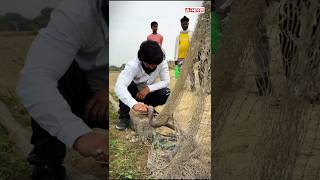 मुरलीवाले हौसला को किस तरह उछड़ के सर्प ने काट लिया था।#jaunpurnews #murliwalehausla #murliwala #new