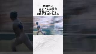 『カット打法 花巻東 千葉翔太』に関する雑学　#野球解説　#雑学　#高校野球　 #甲子園　#shorts