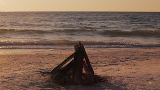 Relax with a Florida Yule Log
