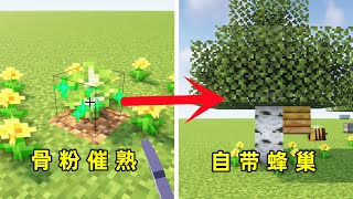 我的世界：骨粉催熟，自帶蜂巢，4個MC特性