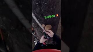 TYING IN USING A PRUSIK KNOT 💥‼️ #professional #skills #arborist #reels #youtubeshorts #shorts #2023