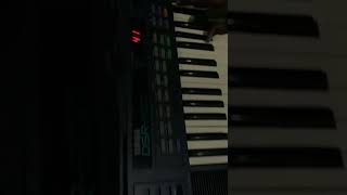 YAMAHA DSR-500 49 Keys Electronic Keyboard with Pitch Bend