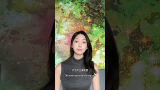 散户在牛市里亏的更多！ #复盘分析 #菲儿说财经 #系统教学丛林法则
