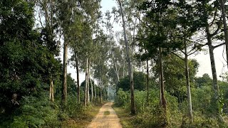 EnBi Eco Camping Tour | Group 2 EFT