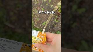 【 赤ちゃんと公園 便利技7選 】#0歳育児#0歳児ママ#令和6年ベビー#ベビーグッズ#ベビー用品#赤ちゃん用品#育児グッズ#新米ママ#新米ママと繋がりたい#育児ハック#子育てハック#赤ちゃんと公園