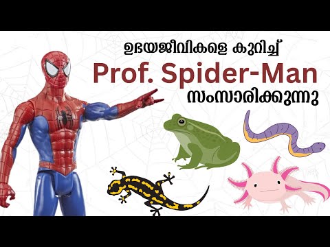 ഉഭയജീവികൾ | AMPHIBIANS | CLASS 4 EVS | AI VIDEOS | AI MALAYALAM | Organisms & Surroundings | AI