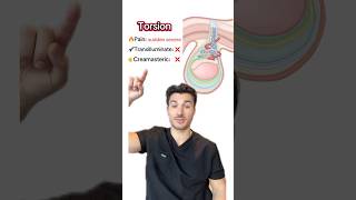 Must know Scrotal Conditions for the USMLE 🔦#medstudent #medschool ##usmle #usmlestep1 #usmlestep2