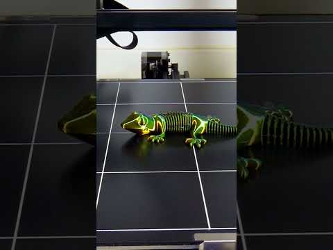 Amazing Flexy Gecko #shorts #3dprinting #time lapse