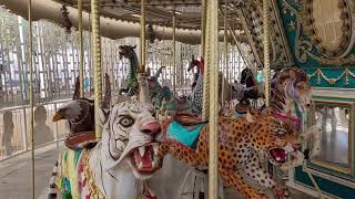 Carousel at Arena Green