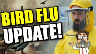 Bird Flu 2025 Is Spreading Fast — Here's What You Should Know