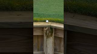 Golf can be cruel 😔