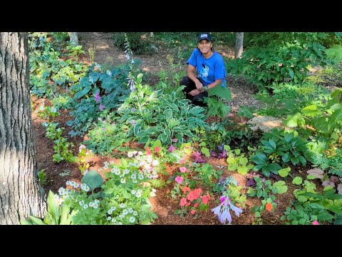 Planting Flowers In My Shade Garden