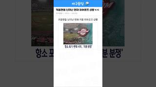 키움팬들 난리난 현재 키움 히어로즈 상황 ㄷㄷ